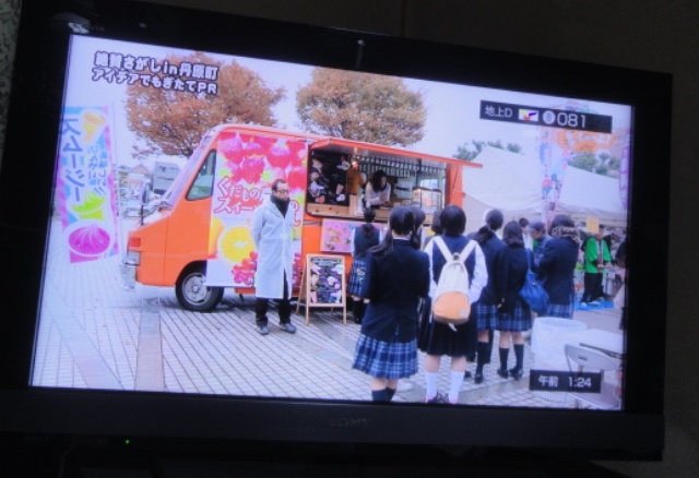 愛宕柿・もぎたて倶楽部・多肉植物の寄せ植・テレビ愛媛放映より_f0231709_16102899.jpg