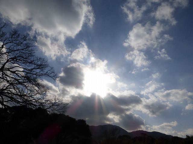 d0037110_18361162.jpg