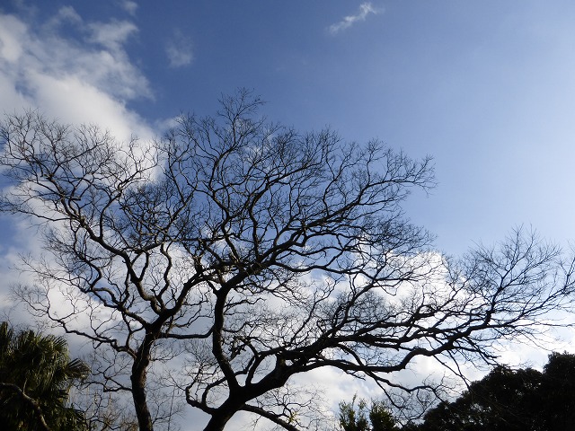d0037110_18363628.jpg