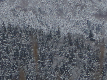 d0160611_2082328.png