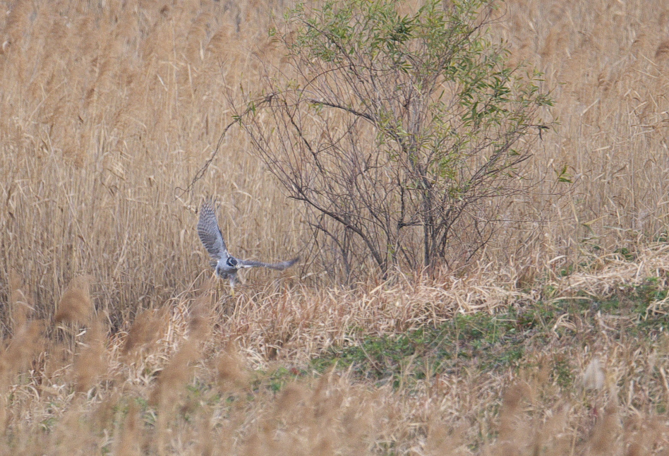 f0288418_0414290.jpg
