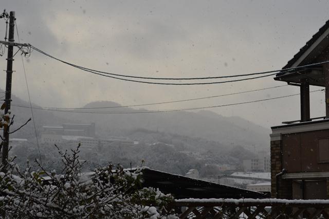 雪の広島から、召しませお部屋のバラを～♪_d0096422_932462.jpg