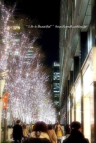 Xmas Illumination 2013*Marunouchi_d0083623_15435126.jpg