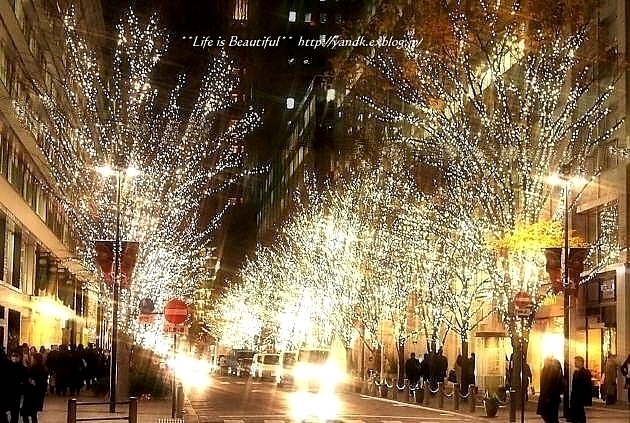 Xmas Illumination 2013*Marunouchi_d0083623_15451528.jpg