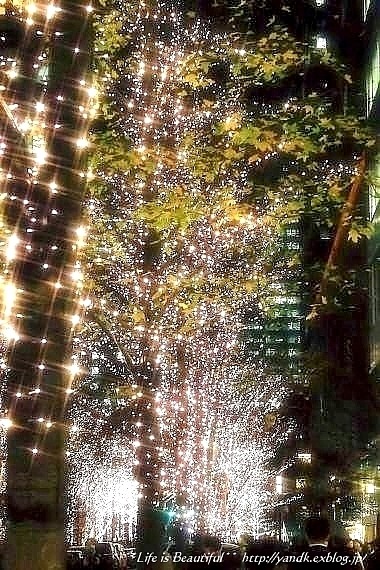 Xmas Illumination 2013*Marunouchi_d0083623_15464230.jpg