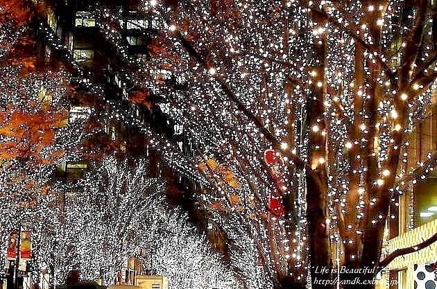 Xmas Illumination 2013*Marunouchi_d0083623_15475893.jpg