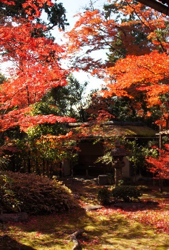 且坐喫茶(しゃざきっさ) ~妙心寺・大法院(京都)~_c0235725_11423541.jpg