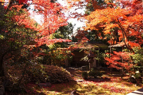 且坐喫茶(しゃざきっさ) ~妙心寺・大法院(京都)~_c0235725_12122556.jpg
