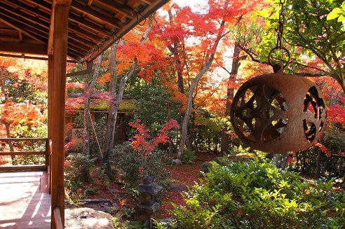 且坐喫茶(しゃざきっさ) ~妙心寺・大法院(京都)~_c0235725_1214247.jpg