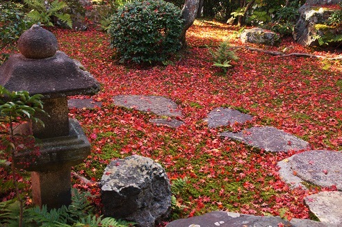 且坐喫茶(しゃざきっさ) ~妙心寺・大法院(京都)~_c0235725_12155242.jpg