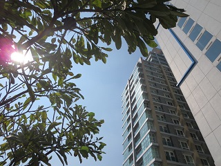 c0051529_1492166.jpg