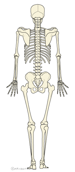 e0073240_13441234.png