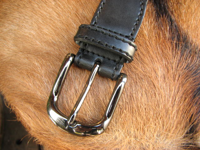 ☆NEW ARRIVAL☆ブラックメッキぜよ(No.307)_a0284249_1537351.jpg