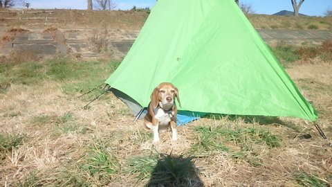 f0046250_1401914.jpg