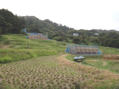10月1週 秋を知る_e0256851_18244258.jpg