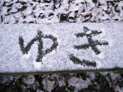 初積雪！寒いのなんのって！九州熊本でも雪がつもるんですんですよ!!_a0254656_16324789.jpg