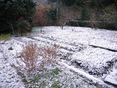 初積雪!寒いのなんのって!九州熊本でも雪がつもるんですんですよ!!_a0254656_16411627.jpg