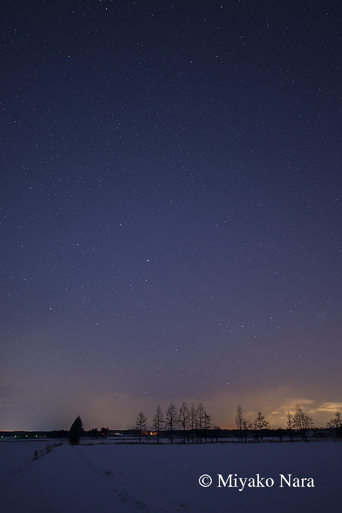 ふたご座流星群の日_e0083559_0143580.jpg