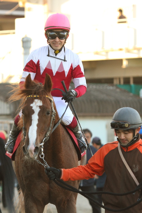 第15回 兵庫ジュニアグランプリJpnII その3 : にゃお吉の高知競馬