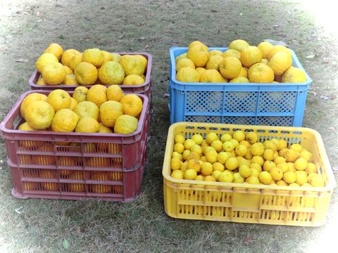 d0321567_1205050.jpg