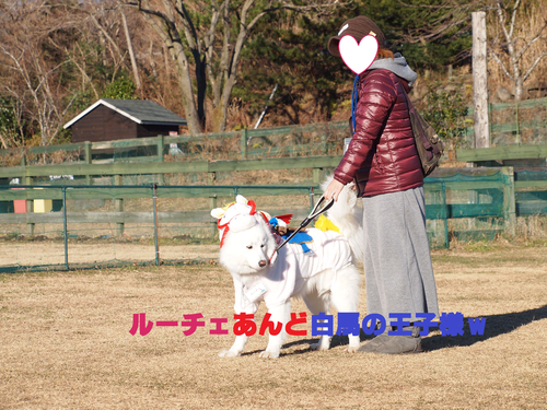 d0251768_23264599.png