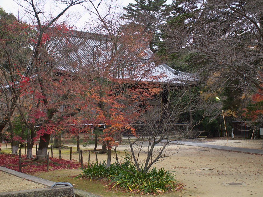 紅葉 2013 <光明寺>　　　　　　　　　　　　　_f0021869_2339490.jpg