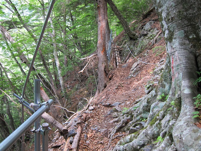 f0202271_05189.jpg
