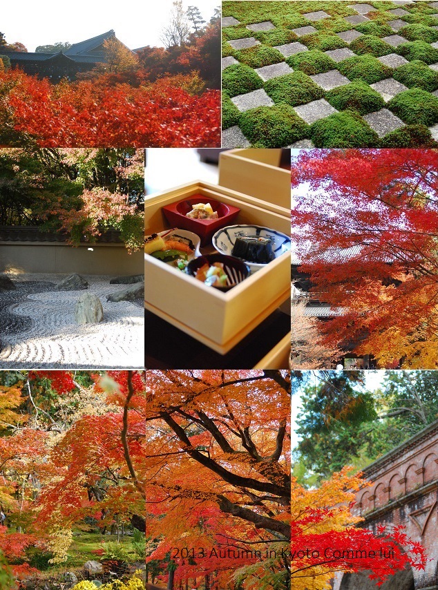Autumn in Kyoto_a0192475_1620215.jpg