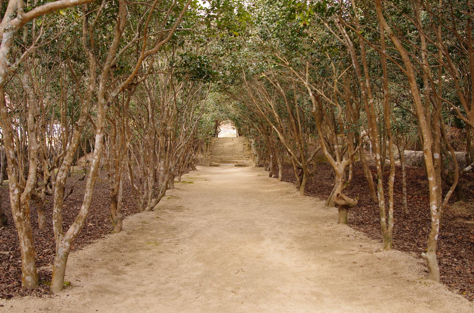 c0177576_0184050.jpg