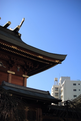 c0318376_810626.jpg