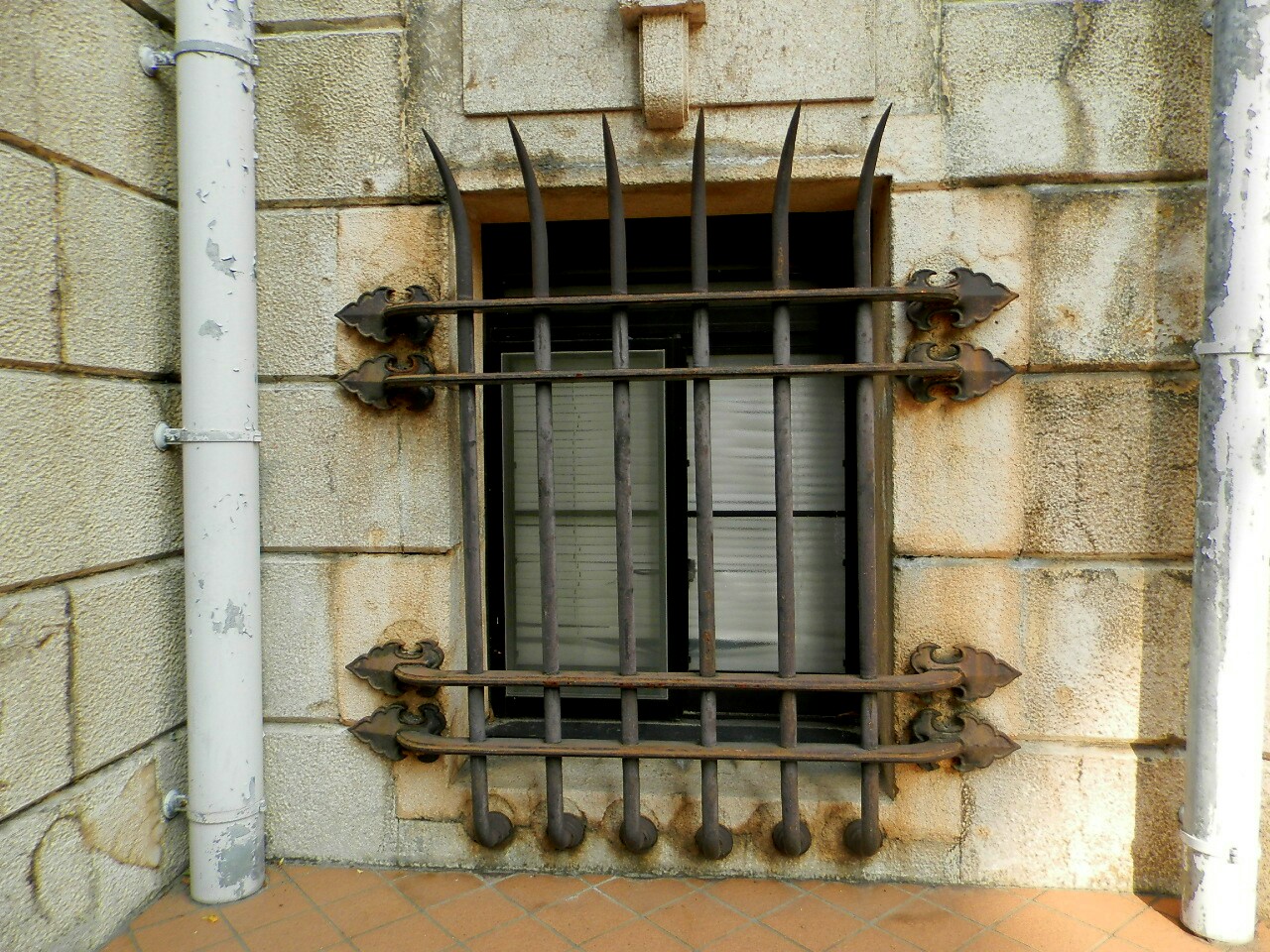 b0267578_1235696.jpg