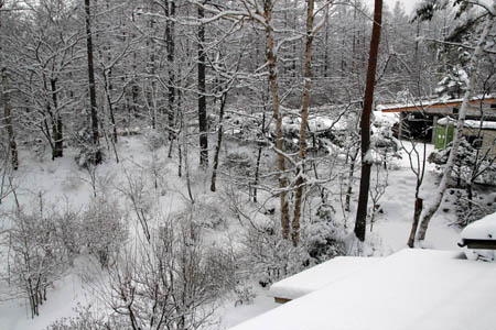 雪のお便り_f0145483_13105038.jpg