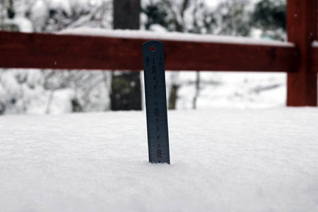 雪のお便り_f0145483_13111774.jpg