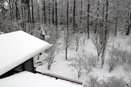 雪のお便り_f0145483_1392015.jpg
