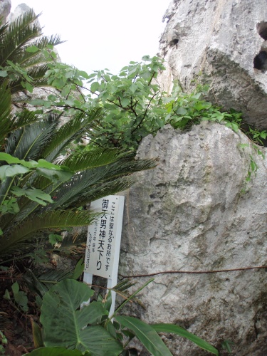 d0318191_17123320.jpg
