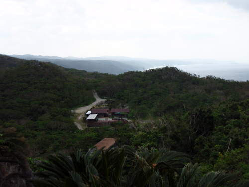 d0318191_17323753.jpg