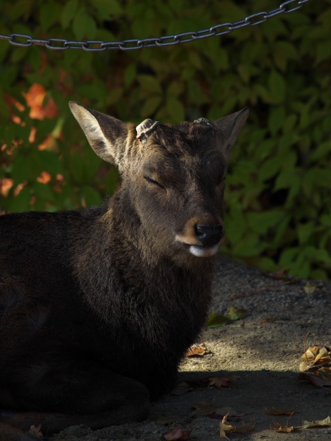 Meditation_b0149692_22393954.jpg