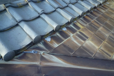 銅板屋根と酸性雨_c0091593_16274686.jpg