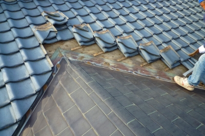銅板屋根と酸性雨_c0091593_16275011.jpg