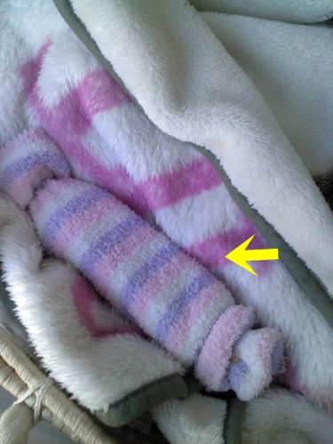 e0188009_2136437.jpg