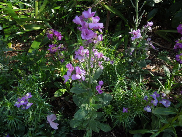 f0297809_0232496.jpg
