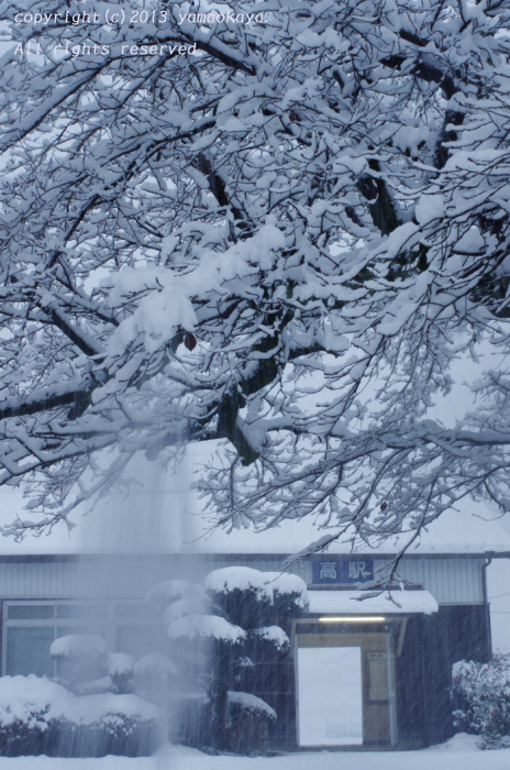 冠雪した駅前で_d0309612_21112651.jpg