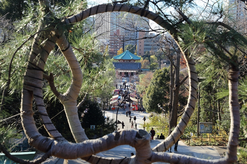 a0159414_10171250.jpg