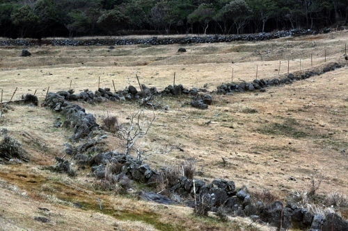 c0168815_1310386.jpg