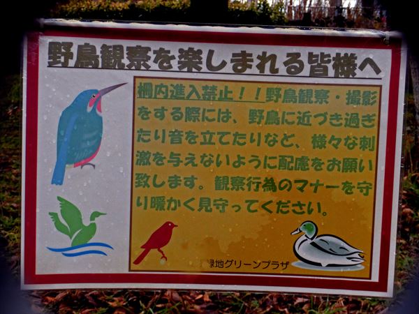a0104116_19203323.jpg