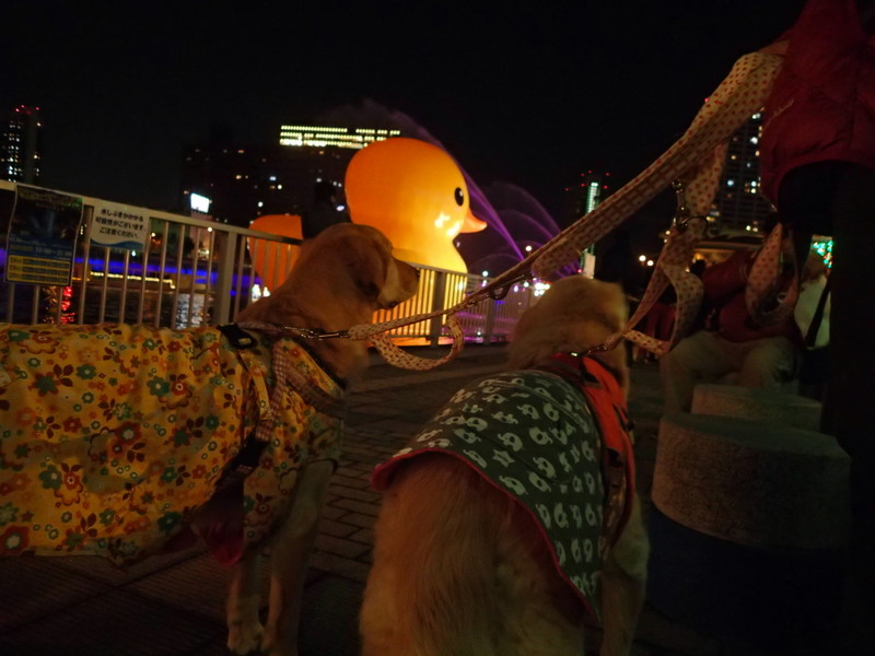 b0101116_23212664.jpg