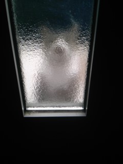 b0080718_8534040.jpg
