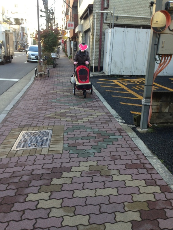 d0046821_22473251.jpg