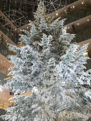 c0143523_20374446.jpg