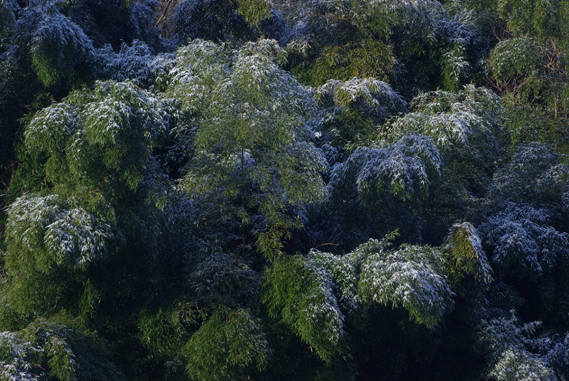 b0062024_8445071.jpg
